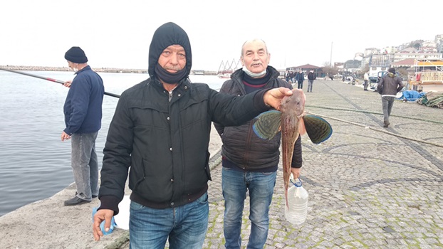 Vali Hasan Şıldak Başkanlığında