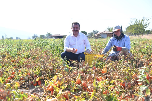 Balıkesir Büyükşehir Belediyesi; tarımsal