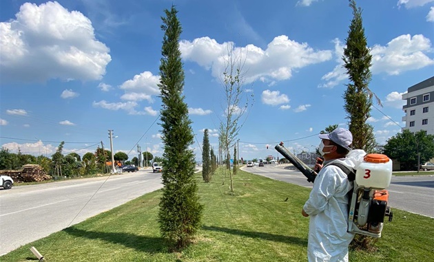 Balıkesir Büyükşehir Belediyesi, ana