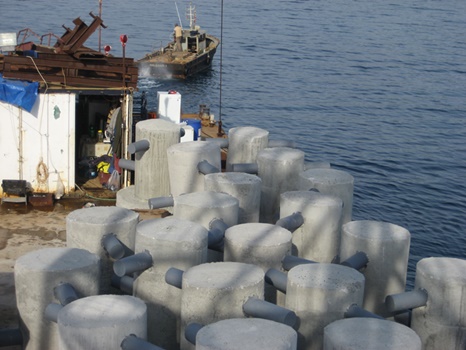 Marmara Denizi’nde balık varlığı