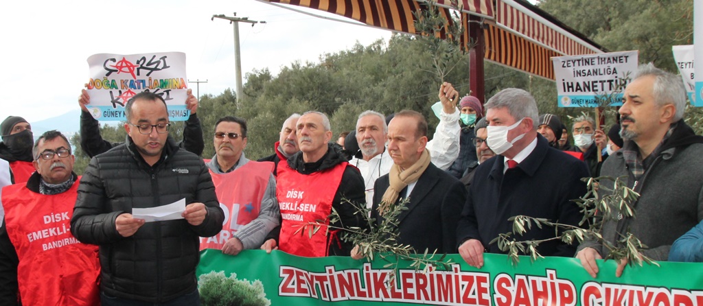 Zeytin Yasası’nı işlevsiz kılacak