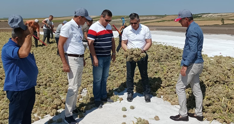 Balıkesir İl Tarım ve