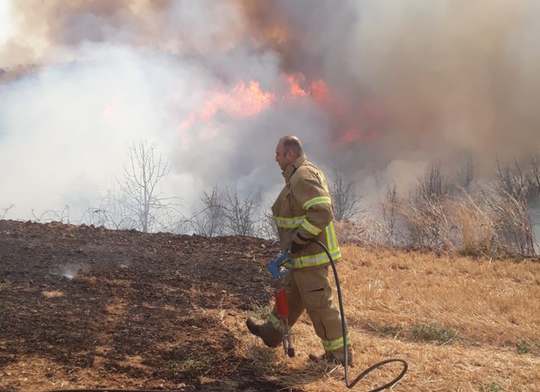 Bandırma'nın Doğruca Mahallesi'ndeki çıkan
