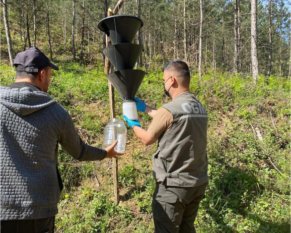 Feromon Tuzaklar Sonuç Verdi