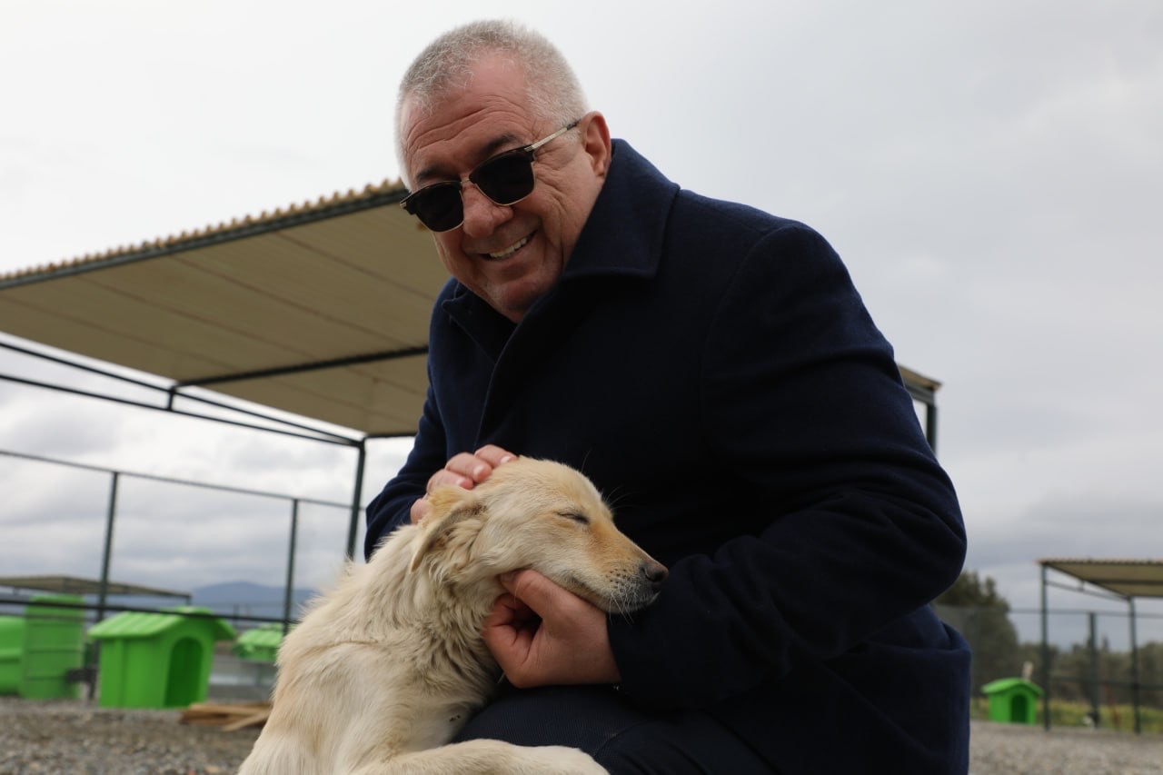 Başkan Ertaş’tan sokak hayvanlarına ilişkin açıklama